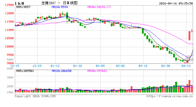 华泰期货:压力有所放缓,生猪行情阶段夯实