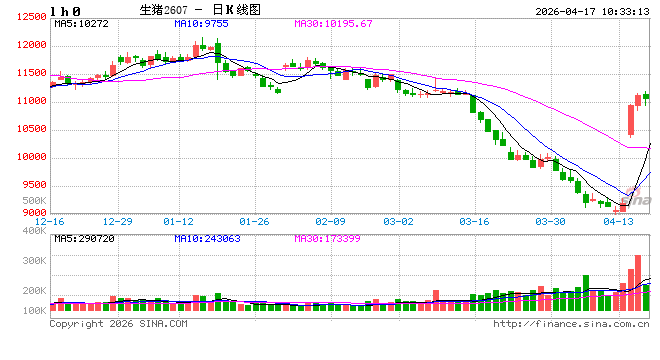 华泰期货：生猪昨日大涨，反弹来了？