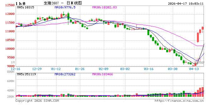 能繁母猪3904万头，猪市反弹逻辑与后市展望