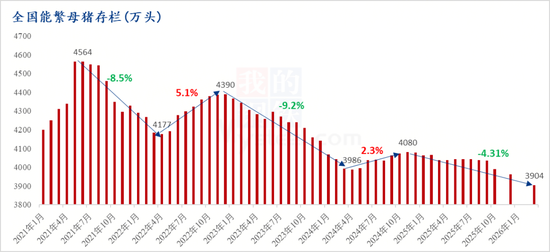 能繁母猪3904万头，猪市反弹逻辑与后市展望