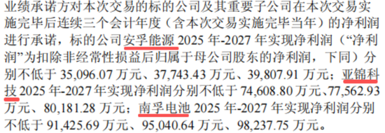 出海毛利率低，29亿商誉高悬，安孚科技：入主南孚电池难改逆风