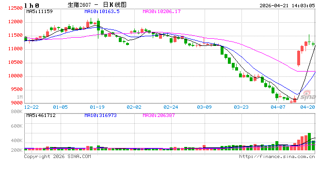 国泰君安期货：借来的翅膀，能让猪价飞多久？