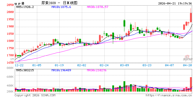 出口传闻点燃情绪，尿素创阶段新高
