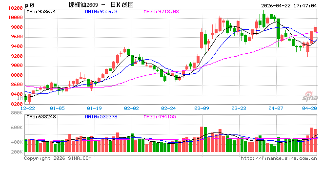 国泰君安期货：生柴政策+天气预期驱动 棕榈油走出四连阳