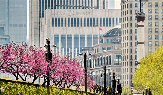 上海农商银行2025年年报：稳健经营夯实根基 资产质量保持稳定 分红率提升至34.07%