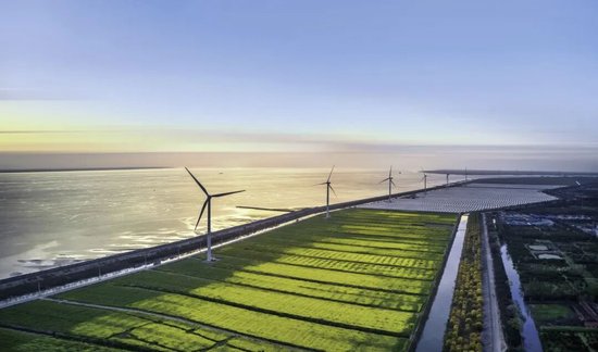 上海农商银行2025年年报：稳健经营夯实根基 资产质量保持稳定 分红率提升至34.07%