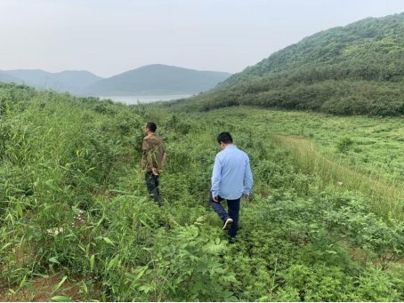 在分期乐普惠的帮助下，70亩吴茱萸熬过丰收前夜