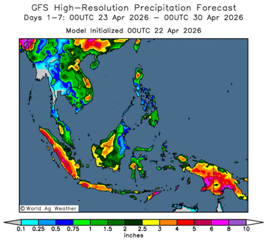 油脂：长期逻辑在短期下的过度表达