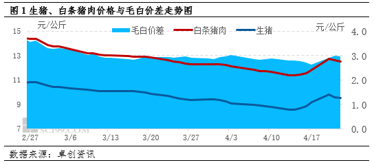 生猪及白条价格触底反弹 毛白价差收窄