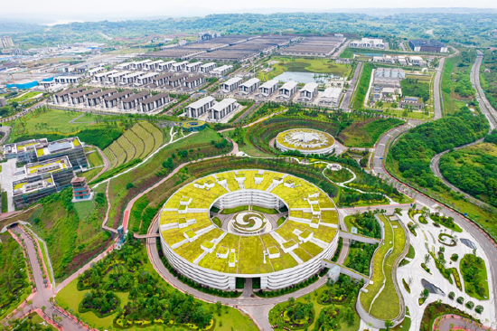 泸州老窖：产品为“骨”，数智为“脉”，构筑穿越周期的治理闭环