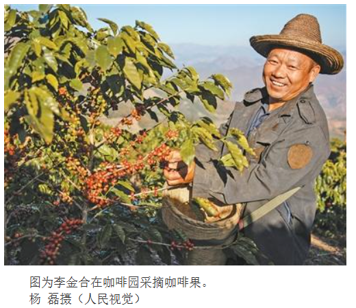 云南保山以咖为景、发力精品——国产咖啡有“咖位”（经济新方位·服务业扩能提质）