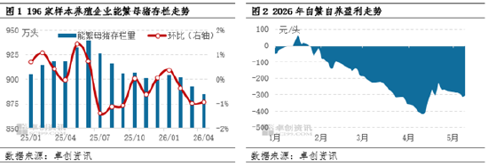 高瞻远“猪”：盈利亏损业者加快出栏 4月能繁与生猪存栏下滑