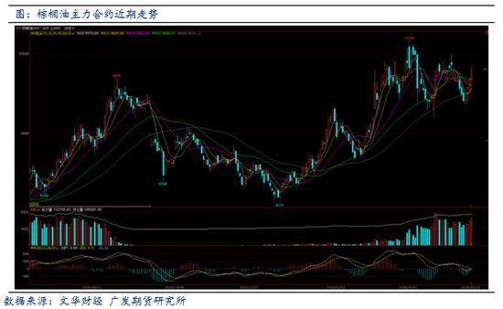 棕榈油：印尼拟筹备国有机构管控棕榈油价格，盘面应声上行